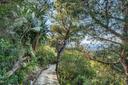 Rifugio di charme nel cuore di Anacapri, in vendita, Anacapri | Sotheby’s Realty Italy - 3