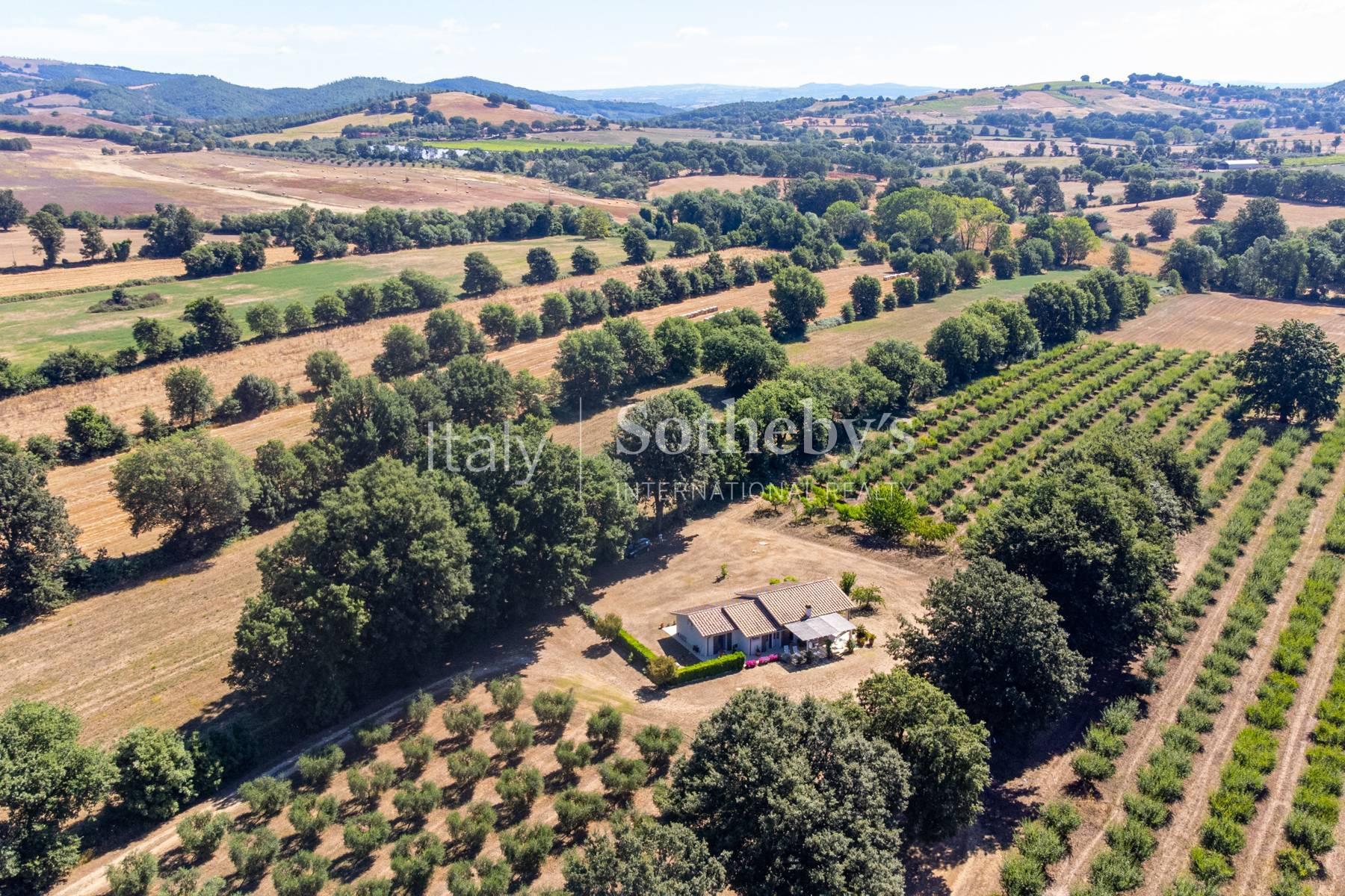 Incantevole  casale nella verde Maremma Toscana, in vendita, Manciano | Sotheby’s Realty Italy - 14