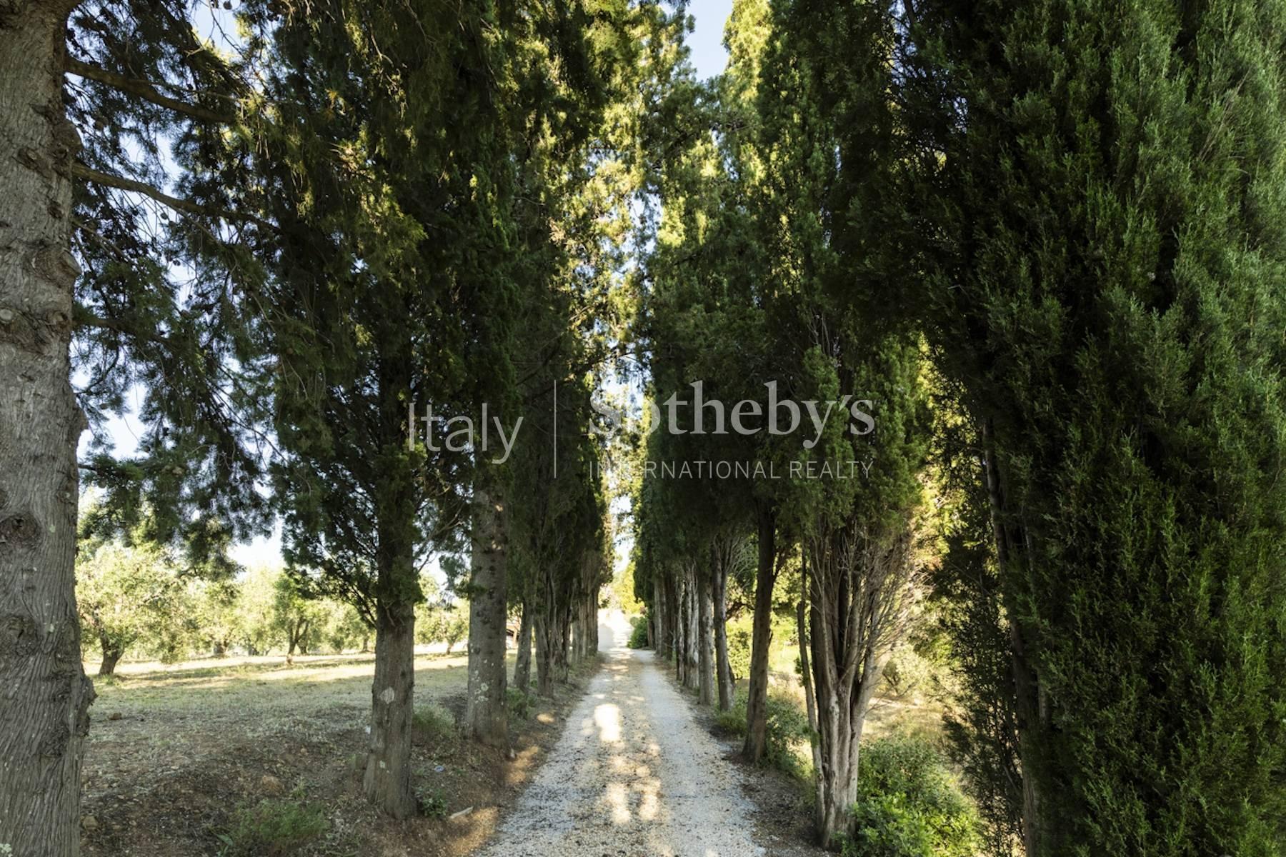Elegante tenuta con campo da tennis nell'alta Maremma, in affitto, Suvereto | Sotheby’s Realty Italy - 40