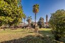 Villa settecentesca con giardino storico, in vendita, Carnago | Sotheby’s Realty Italy - 11