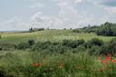 Casale del Cuore nella splendida campagna di Todi, in affitto, Todi | Sotheby’s Realty Italy - 25