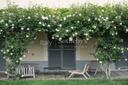 Casale del Cuore nella splendida campagna di Todi, in affitto, Todi | Sotheby’s Realty Italy - 20