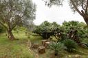 Villa esclusiva all'Argentario vicino Porto Santo Stefano, in affitto, Monte Argentario | Sotheby’s Realty Italy - 14