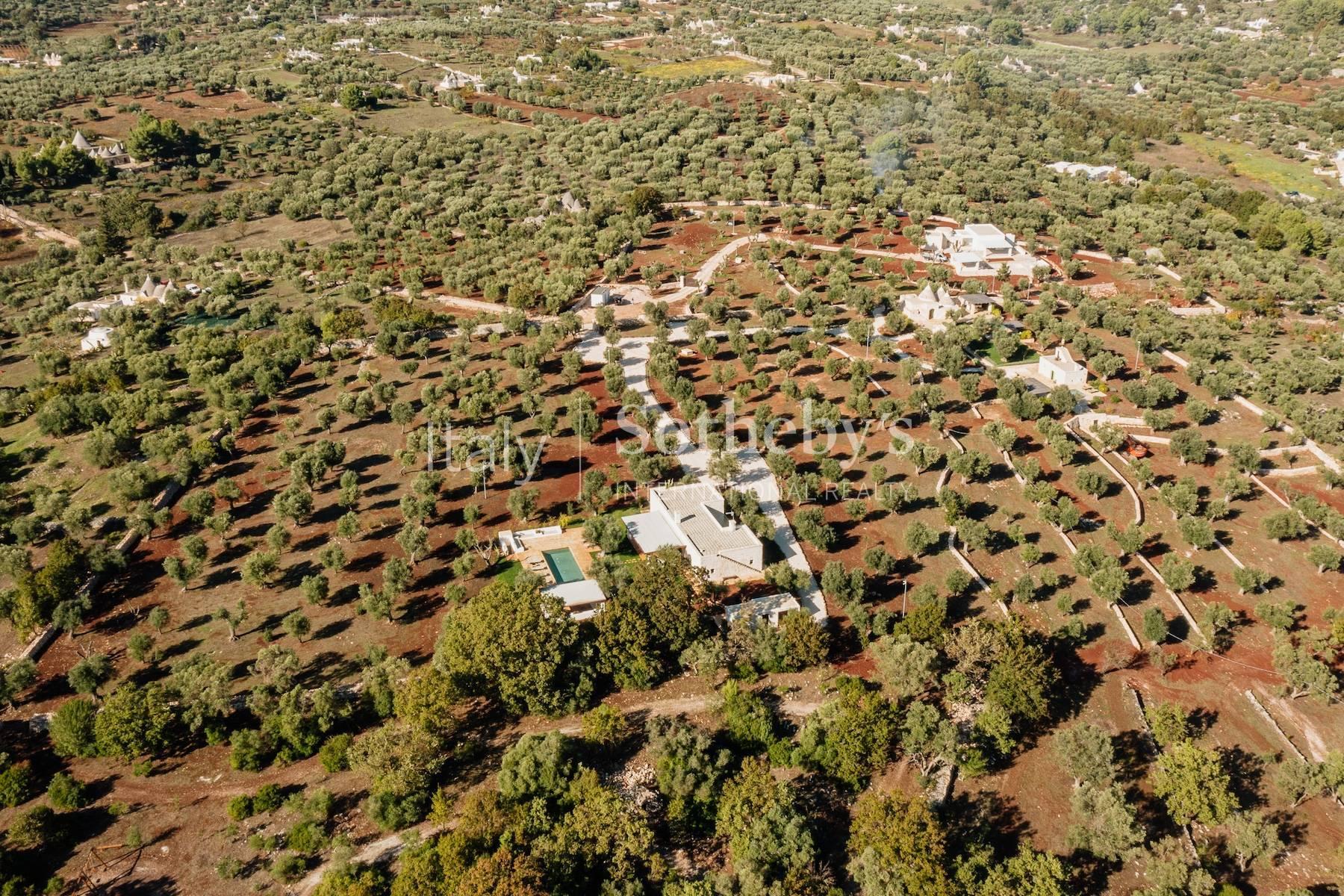 Esclusiva tenuta tra gli ulivi in Valle D'Itria, in vendita, Ostuni | Sotheby’s Realty Italy - 10