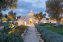 Esclusiva tenuta tra gli ulivi in Valle D'Itria, in vendita, Ostuni | Sotheby’s Realty Italy - 28