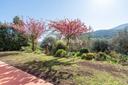 Elegante villa toscana con uliveto, in vendita, Lucca | Sotheby’s Realty Italy - 17