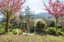 Elegante villa toscana con uliveto, in vendita, Lucca | Sotheby’s Realty Italy - 18
