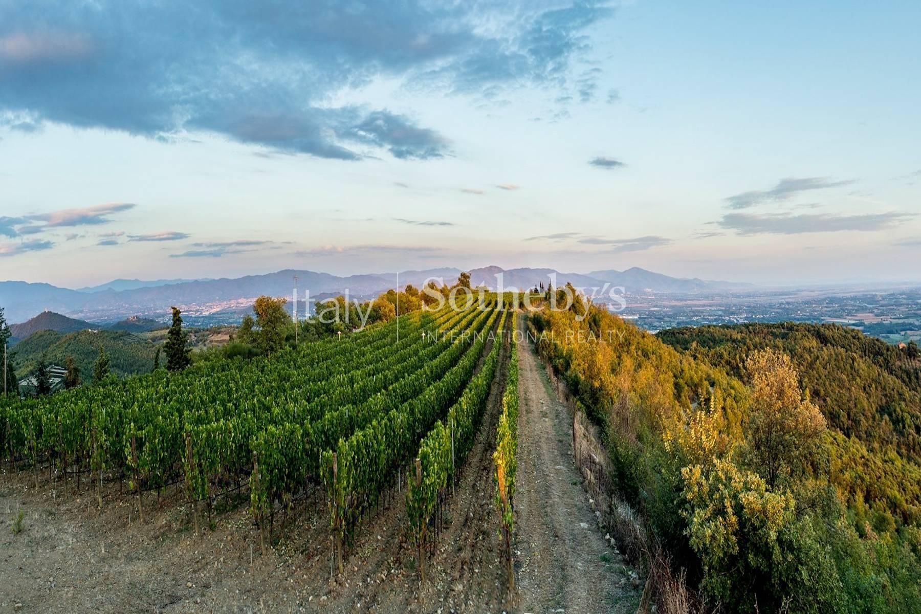 Incantevole azienda vitivinicola nella campagna aretina, in vendita, Arezzo | Sotheby’s Realty Italy - 6