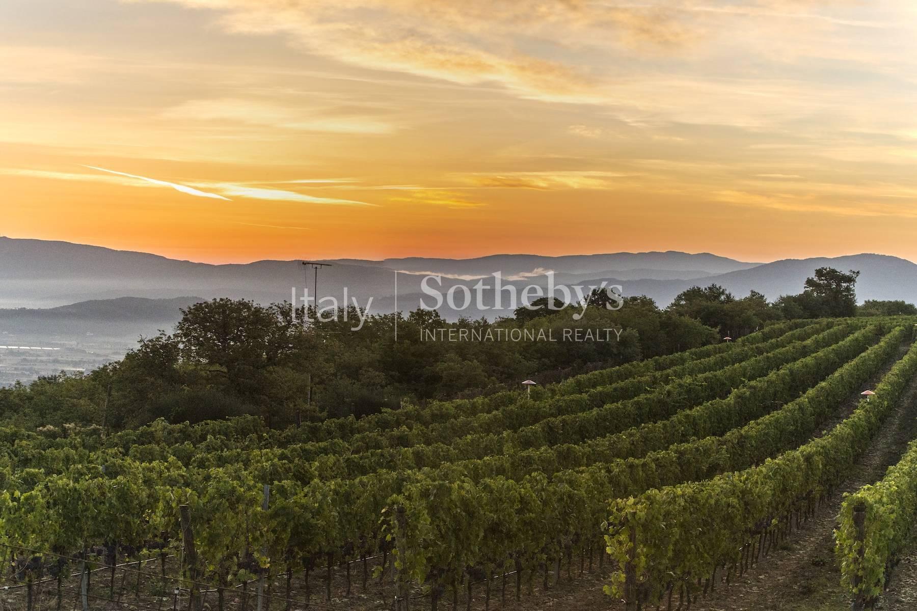 Incantevole azienda vitivinicola nella campagna aretina, in vendita, Arezzo | Sotheby’s Realty Italy - 30