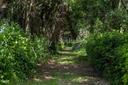 Villa esclusiva tra le colline fiorentine, in vendita, Firenze | Sotheby’s Realty Italy - 33