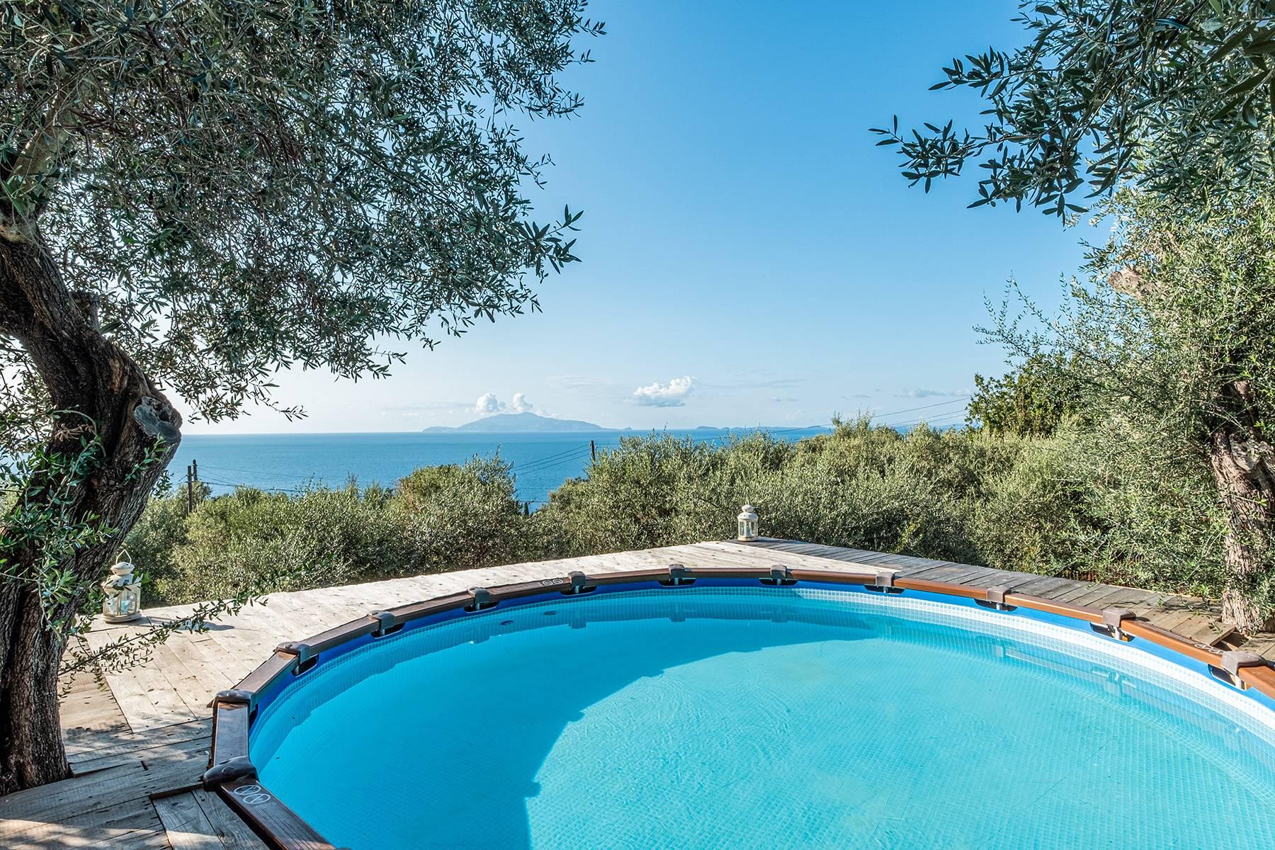 Villa di charme con uliveto e piscina a picco sul mare - 1