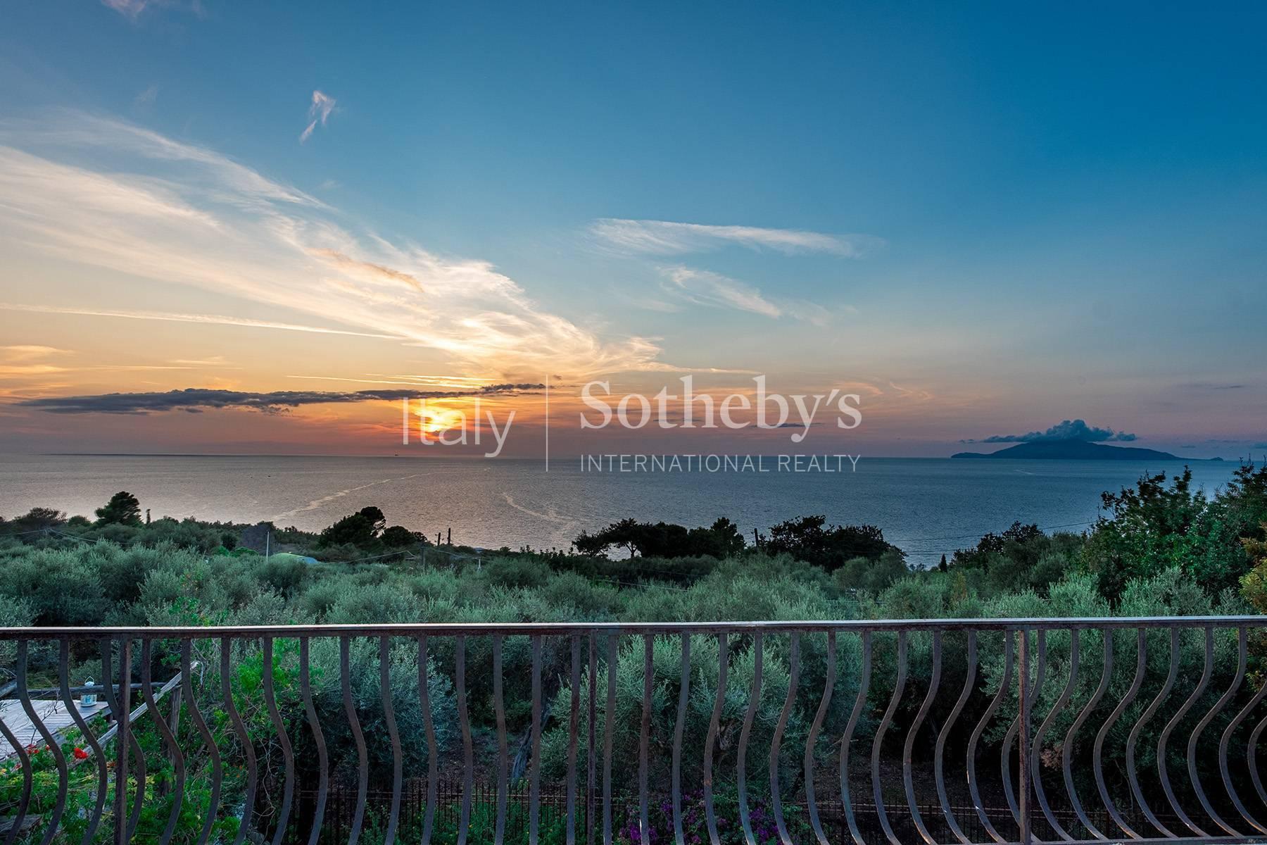 Villa di charme con uliveto e piscina a picco sul mare - 2