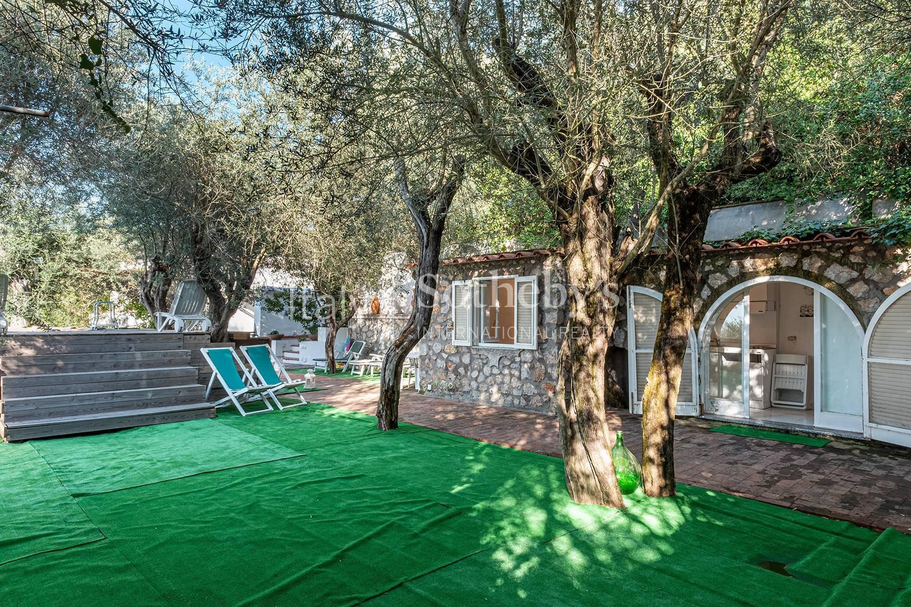 Villa di charme con uliveto e piscina a picco sul mare - 8