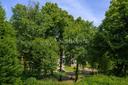 Independent property surrounded by greenery in the center of Milan, For sale, Milan | Sotheby’s Realty Italy - 20