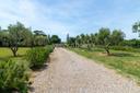 Splendido casale con dépendance e piscina a Capalbio, in vendita, Capalbio | Sotheby’s Realty Italy - 22
