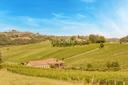 Elegante villa tra i vigneti di Nizza Monferrato, in vendita, Nizza Monferrato | Sotheby’s Realty Italy - 30