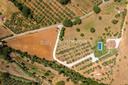 Casale toscano in pietra vicino al mare, in vendita, Riparbella | Sotheby’s Realty Italy - 23