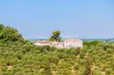 Elegante villa toscana con piscina, laghetto e dépandance, in vendita, Massarosa | Sotheby’s Realty Italy - 20
