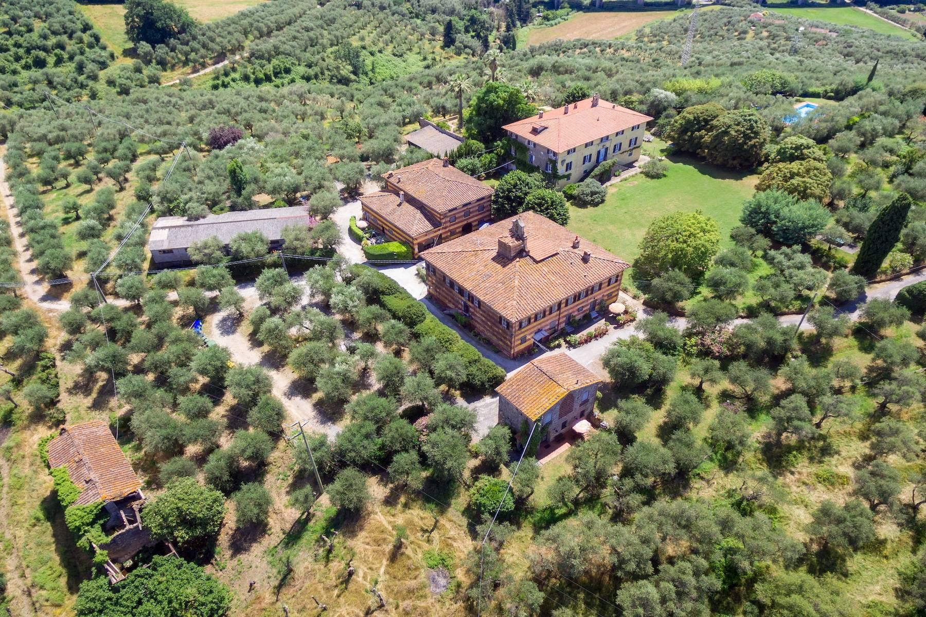 Tenuta con villa storica, oliveto e agriturismo sulle colline di Massarosa - 1
