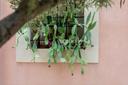 Antica masseria a Vendicari, in vendita, Noto | Sotheby’s Realty Italy - 13
