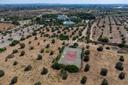 Suggestiva masseria a Gallipoli, in vendita, Gallipoli | Sotheby’s Realty Italy - 23