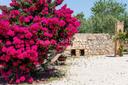 Antica masseria nel cuore della Riserva di Vendicari, in vendita, Noto | Sotheby’s Realty Italy - 39