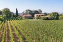 Prestigiosa residenza sulle colline a sud di Milano, in vendita, Rivergaro | Sotheby’s Realty Italy - 12