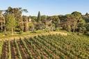 Prestigiosa residenza sulle colline a sud di Milano, in vendita, Rivergaro | Sotheby’s Realty Italy - 34