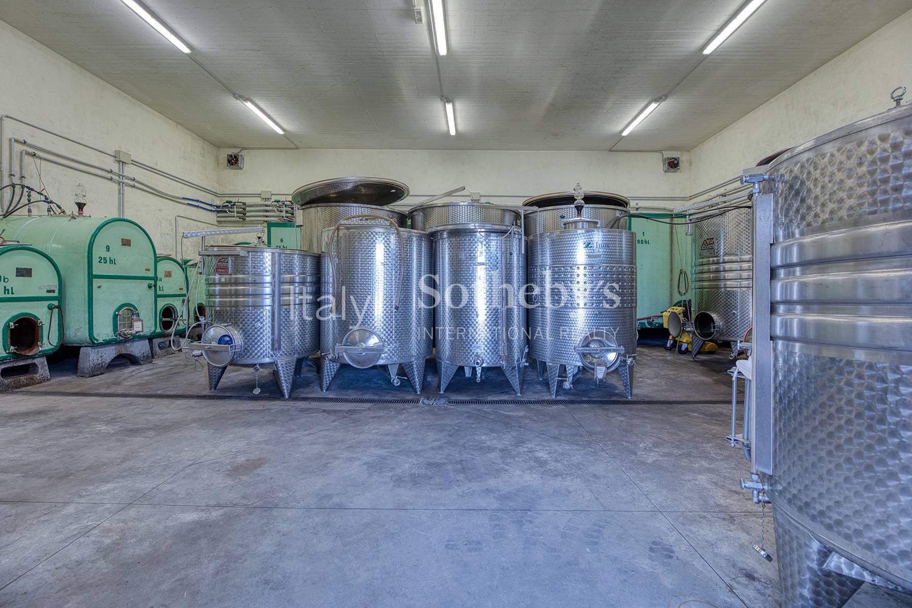 Incantevole azienda vitivinicola nella campagna aretina, in vendita, Arezzo | Sotheby’s Realty Italy - 23