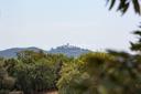 Casale di charme vicino Capalbio, in vendita, Capalbio | Sotheby’s Realty Italy - 7