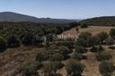 Casale di charme vicino Capalbio, in vendita, Capalbio | Sotheby’s Realty Italy - 6
