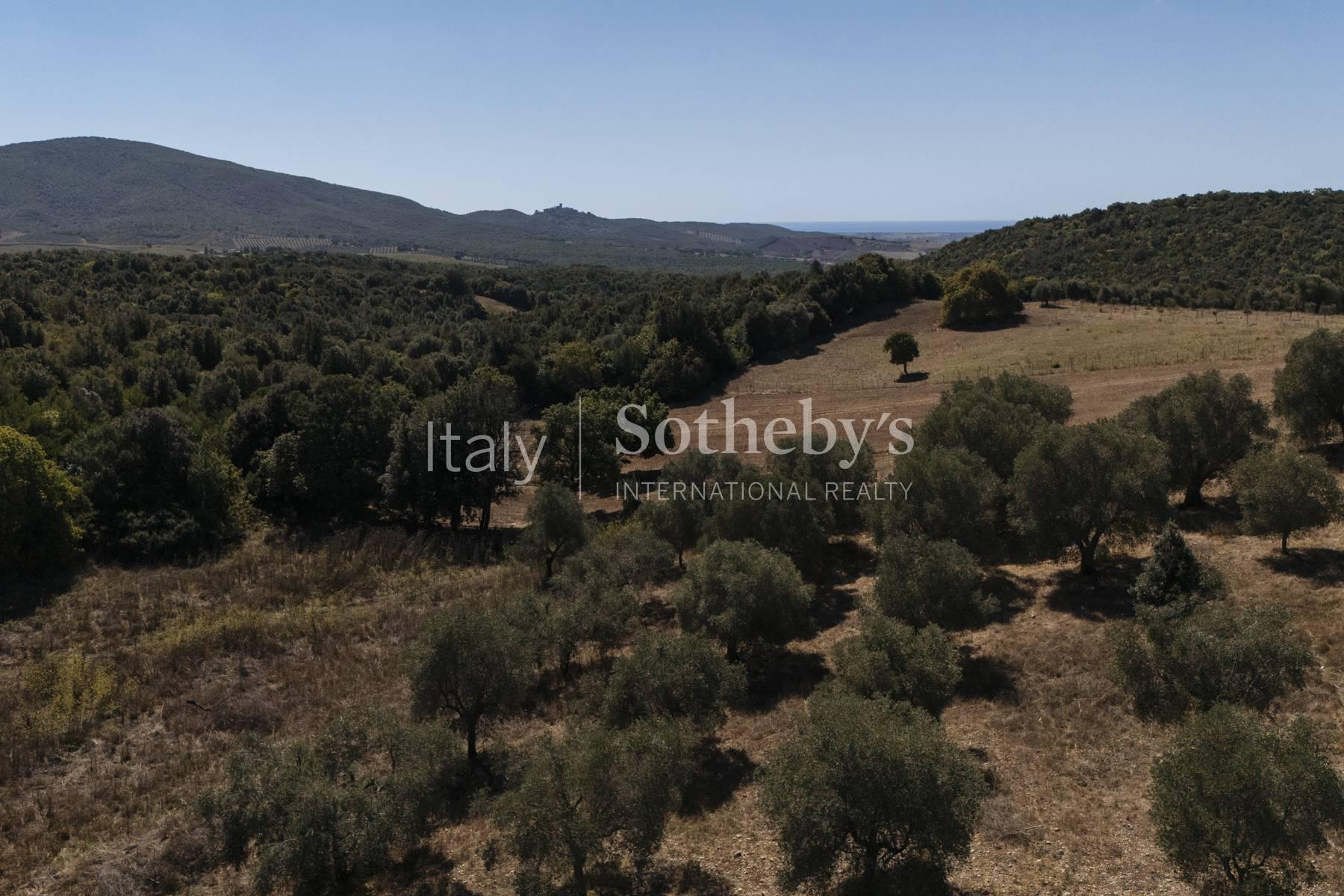 Progetto approvato per villa panoramica a Capalbio - 3