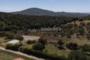 Progetto approvato per villa panoramica a Capalbio, in vendita, Capalbio | Sotheby’s Realty Italy - 4