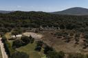 Progetto approvato per villa panoramica a Capalbio, in vendita, Capalbio | Sotheby’s Realty Italy - 8