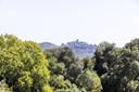 Progetto approvato per villa panoramica a Capalbio, in vendita, Capalbio | Sotheby’s Realty Italy - 7