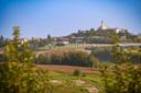 Dimora storica  tra le colline del Monferrato, in vendita, Montiglio Monferrato | Sotheby’s Realty Italy - 27