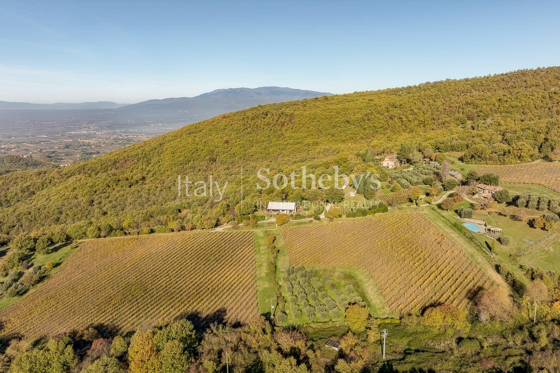 Incantevole tenuta immersa nelle colline Toscane - 3