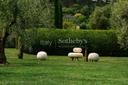 Villa Le Camelie immersa nella campagna toscana, in affitto, Lucca | Sotheby’s Realty Italy - 46