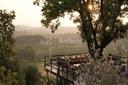 Esclusivo casale toscano di lusso a Magliano in Toscana, in affitto, Magliano in Toscana | Sotheby’s Realty Italy - 4