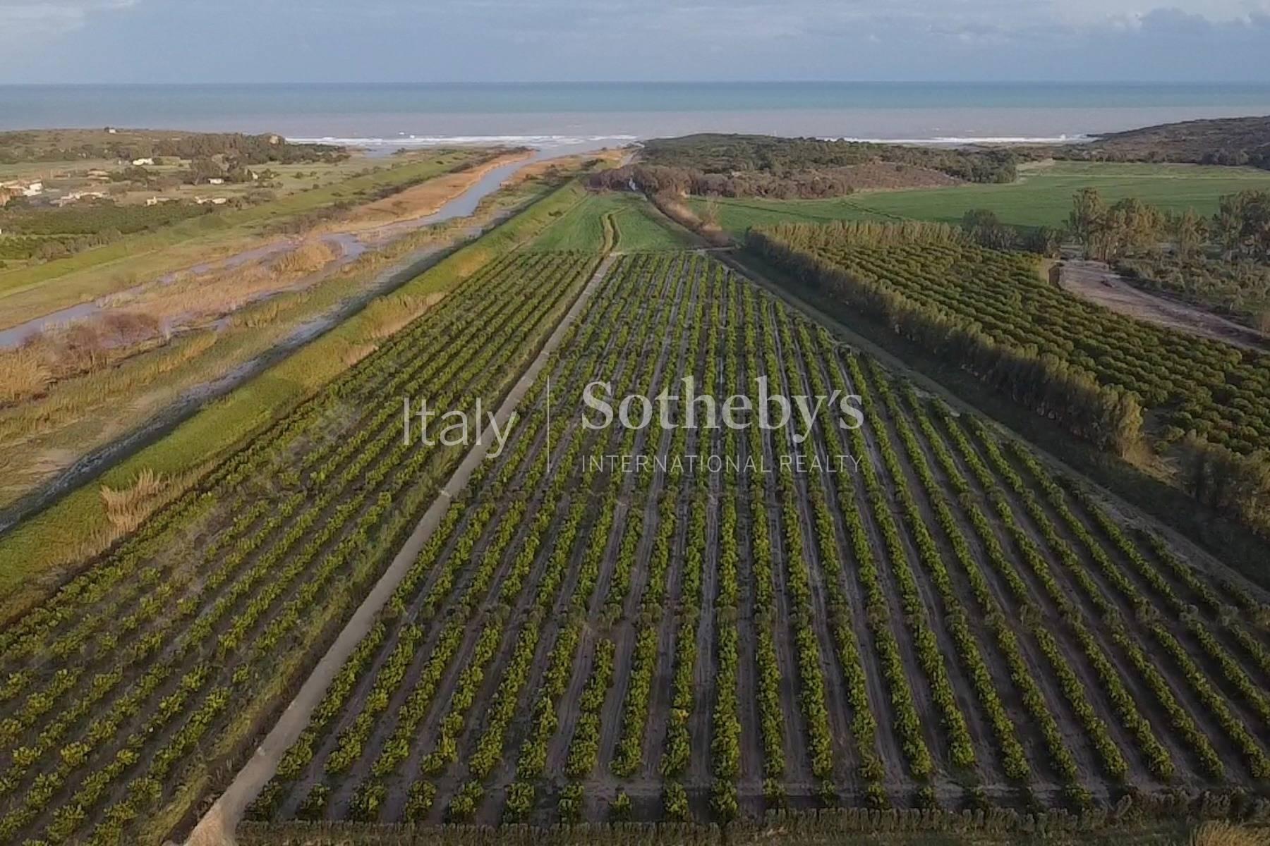 Antica masseria nel cuore della Riserva di Vendicari, in vendita, Noto | Sotheby’s Realty Italy - 42