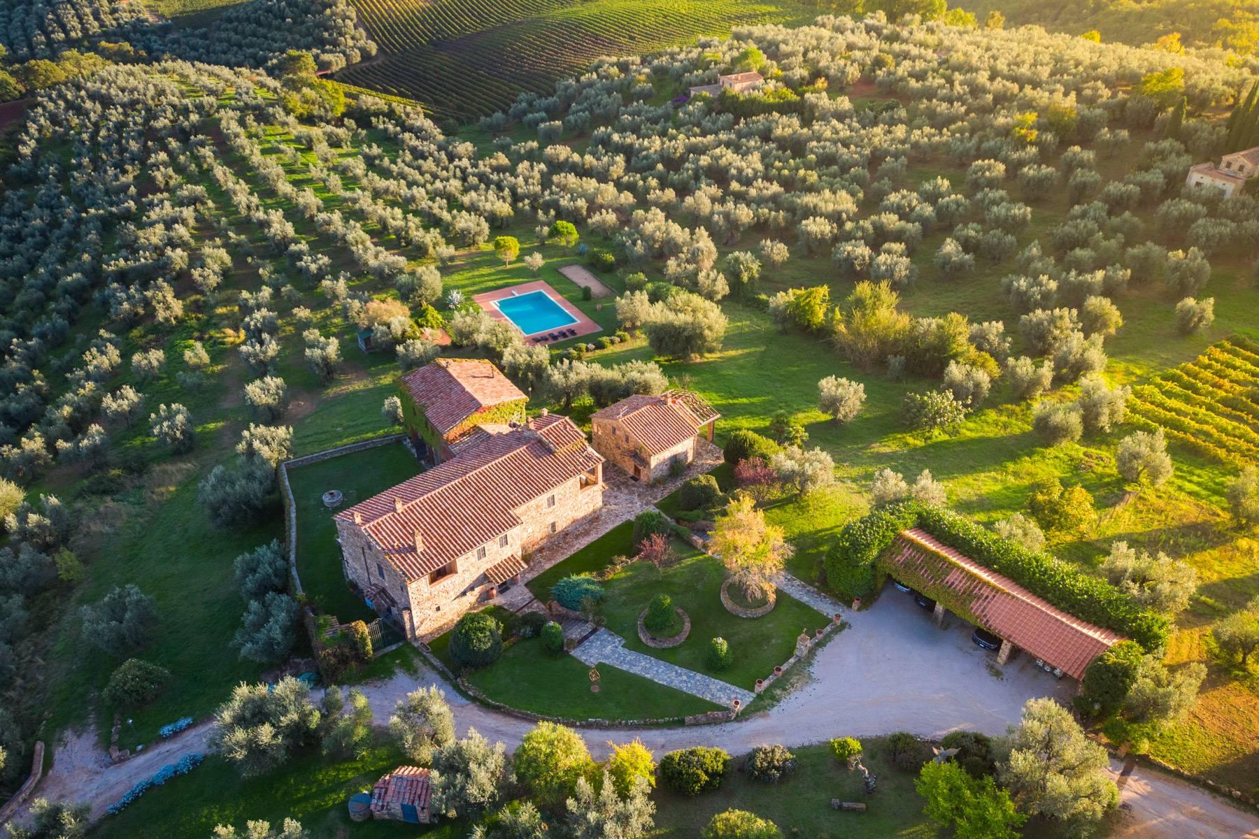Casale storico con uliveto e vigneto - 1