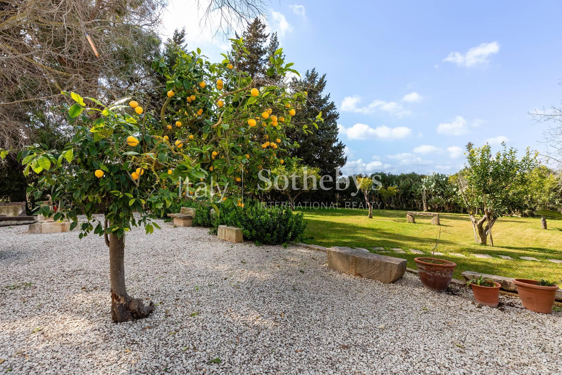 Historic Sicilian wine estate with vineyards and olive grove - 4