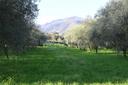 Autentica proprietà storica nella campagna lucchese, in vendita, Capannori | Sotheby’s Realty Italy - 15