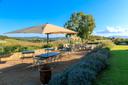 Borgo Continuum tra mare e campagna maremmana, in affitto, Magliano in Toscana | Sotheby’s Realty Italy - 48