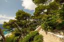 Villa Pineta a Capri, in affitto, Capri | Sotheby’s Realty Italy - 47