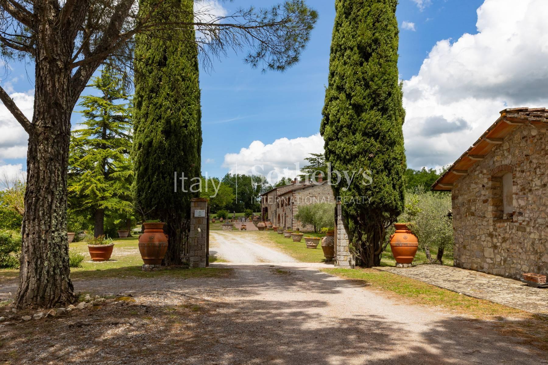 Winery in the heart of the Chianti Classico region - 6