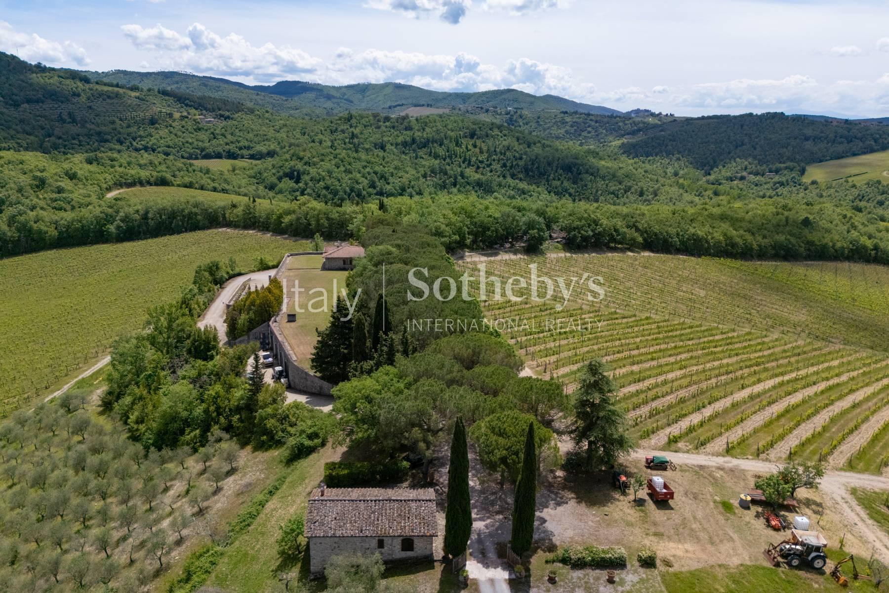 Winery in the heart of the Chianti Classico region - 2