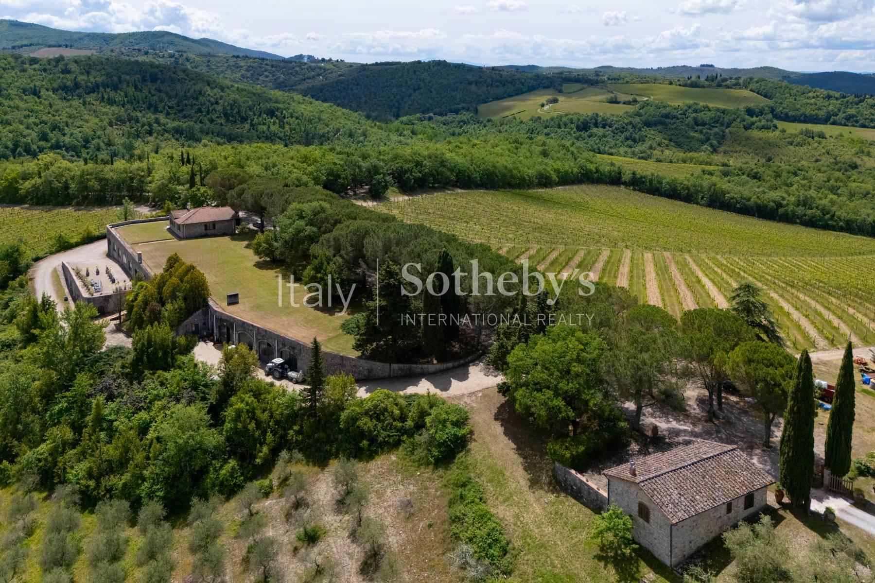 Winery in the heart of the Chianti Classico region - 3