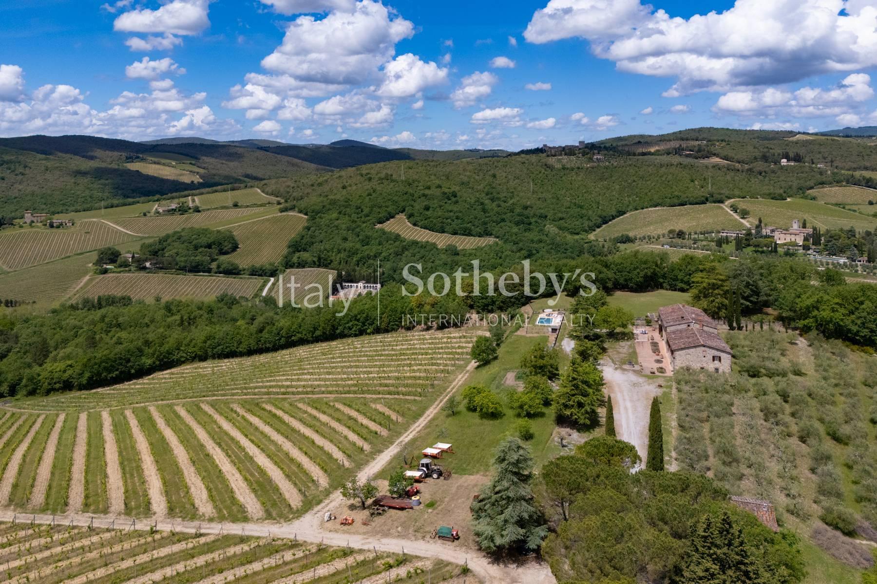 Winery in the heart of the Chianti Classico region - 4