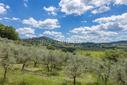 Casale panoramico a pochi passi da Montepulciano, in vendita, Montepulciano | Sotheby’s Realty Italy - 33